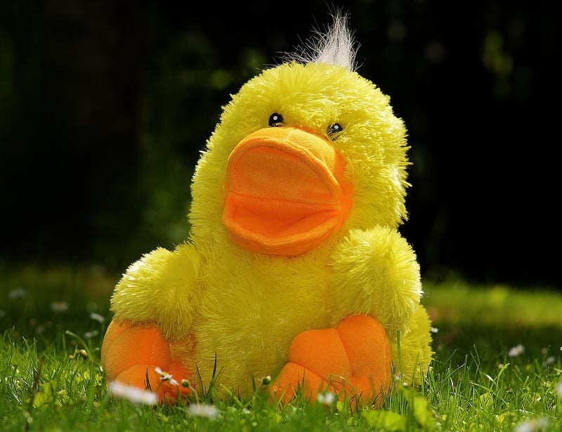 Organic Cotton Stuffed Animals